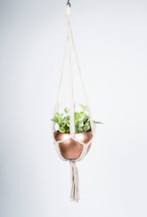 Macrame plant holder with pot